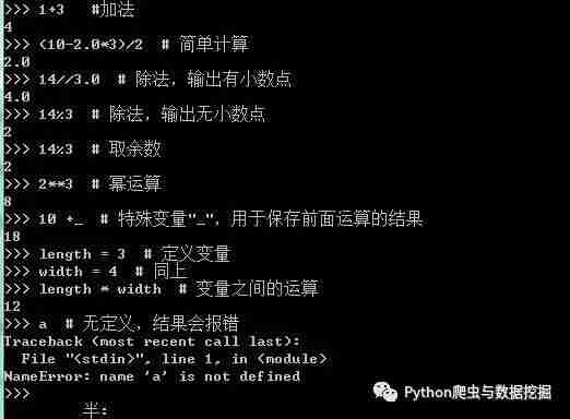 如何在交互式环境中执行Python程序