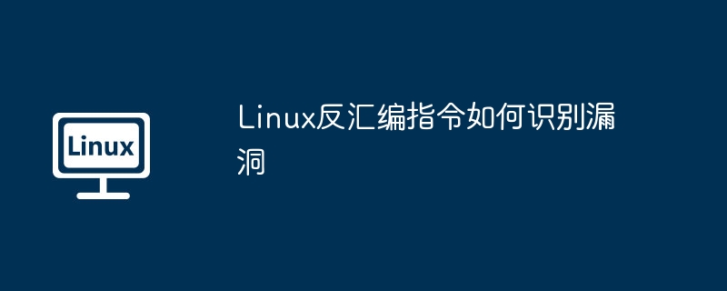 Linux反汇编指令如何识别漏洞