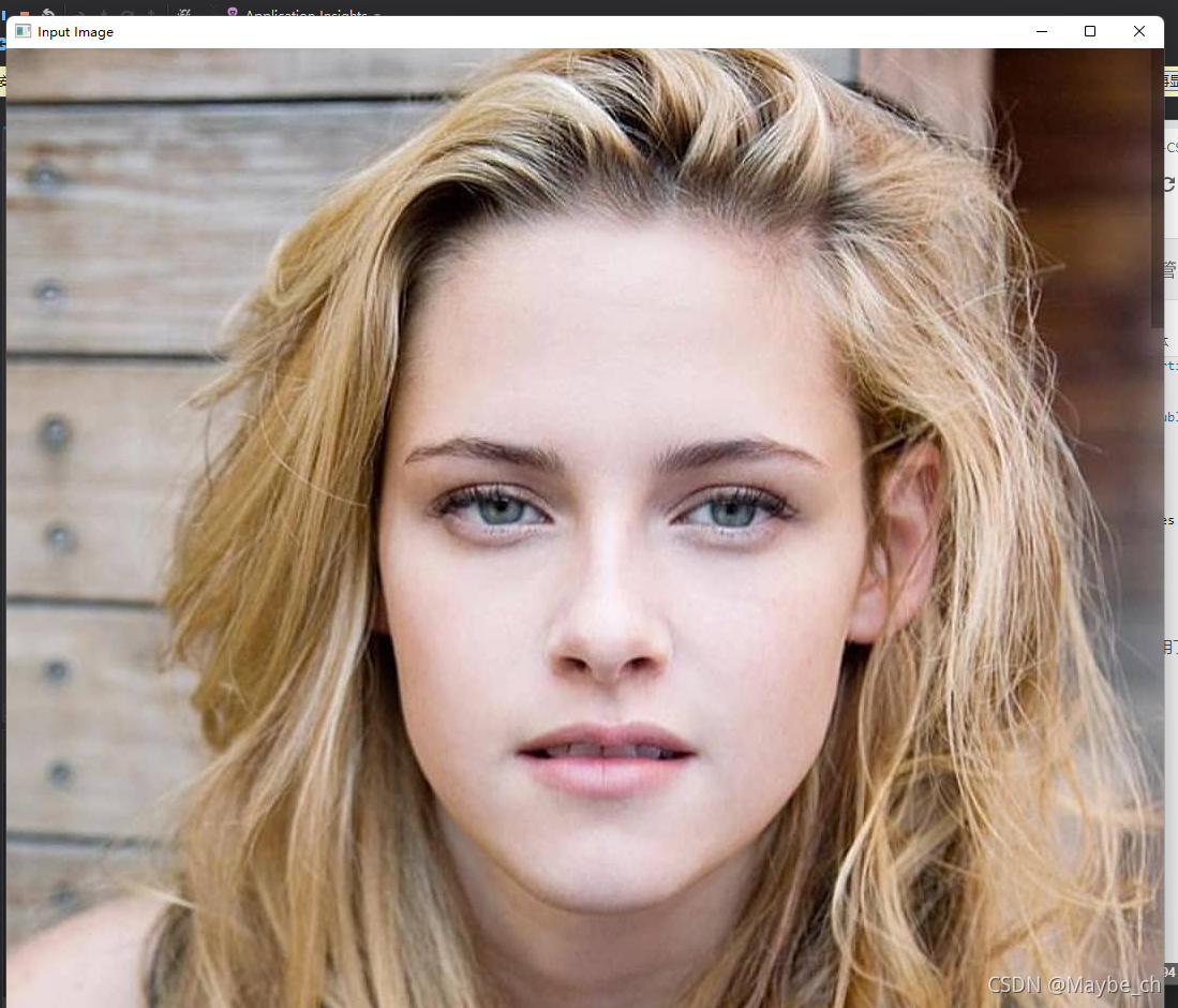 OpenCVSharp学习笔记（一）介绍与环境安装