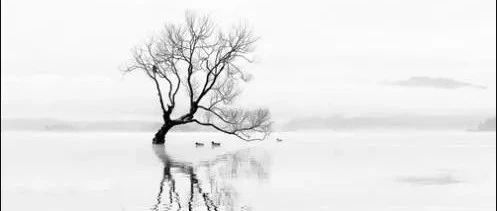 Windows下Word2Vec训练中文维基语料终极指南（三）