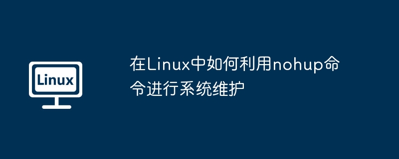 在Linux中如何利用nohup命令进行系统维护