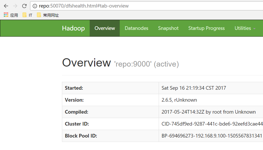 Hadoop伪分布式搭建详细指南