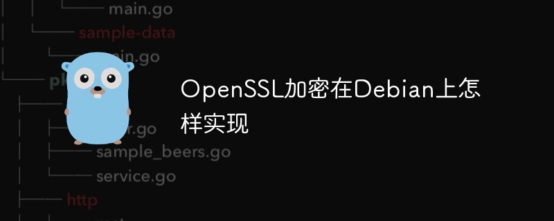 OpenSSL加密在Debian上怎样实现