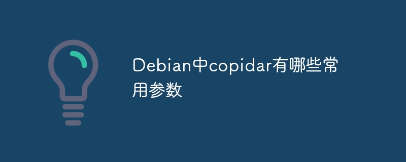 Debian中copidar常用参数及使用秘籍