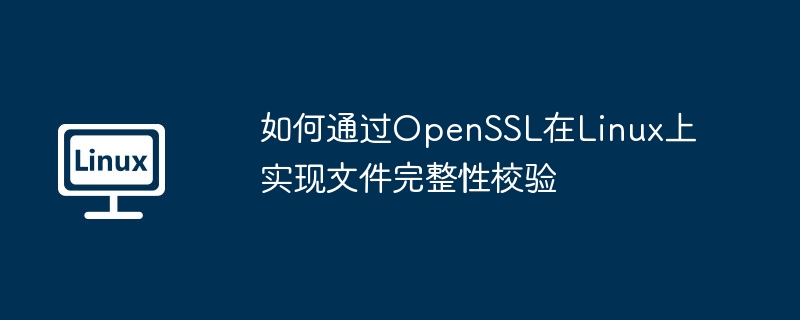 OpenSSL在Linux上文件完整性校验技巧
