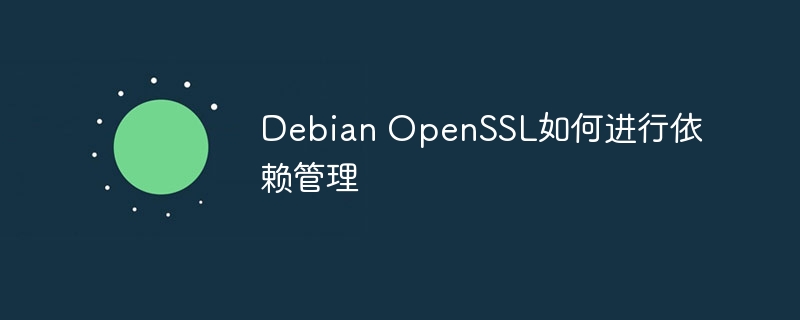 DebianOpenSSL依赖管理技巧及方法