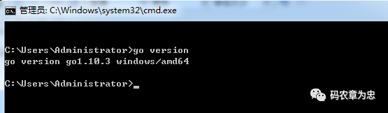 Golang入门攻略（一）：Go环境搭建指南