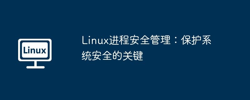 Linux进程安全管理：系统保护的核心关键