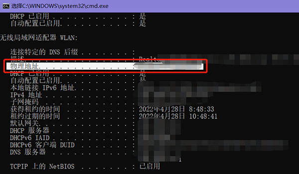 win11Mac地址怎么查看