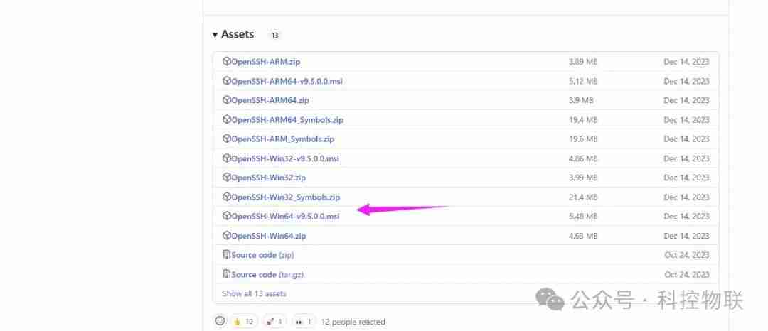 [教程] Windows Server 2022 系统开启Ssh Server服务