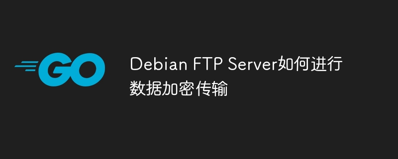 Debian FTP Server如何进行数据加密传输