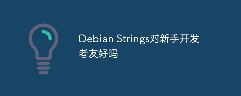 Debian Strings对新手开发者友好吗