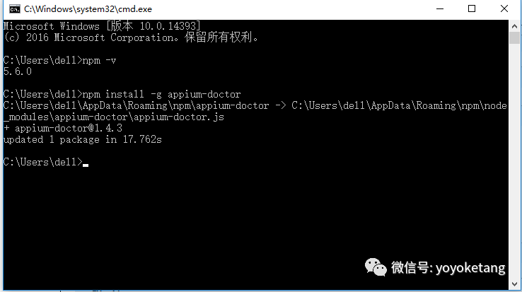Appium+python自动化54-appium-doctor