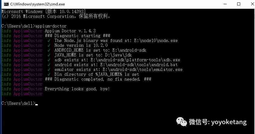 Appium+python自动化54-appium-doctor