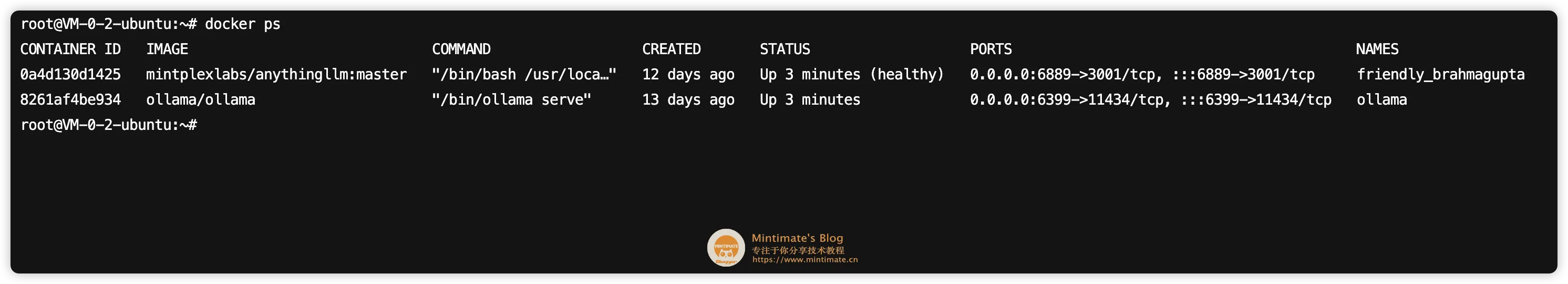 公网暴露 Ollama 端口存在风险？使用 OneAPI 聚合和保护你的模型调用
