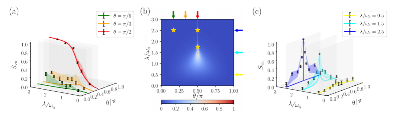 中国科大实验揭秘宇称对称性保护的量子奥秘