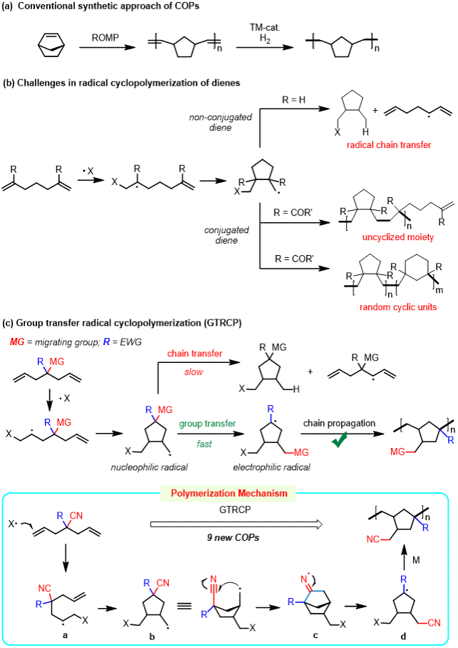 上海交大朱晨、孙浩合作发文：基于官能团迁移自由基环化聚合的环烯烃聚合物合成及其在无负极锂电池中的高性能应用
