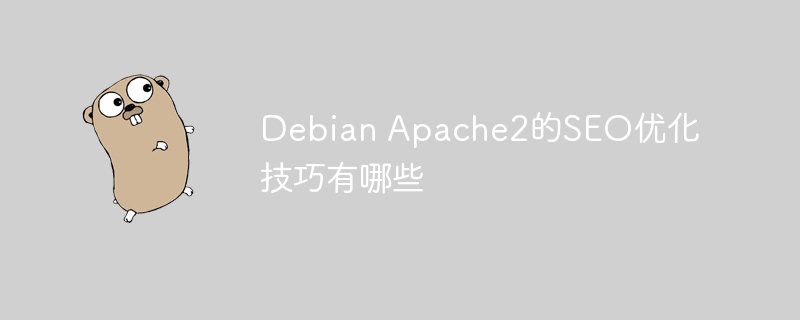 Debian Apache2的SEO优化技巧有哪些