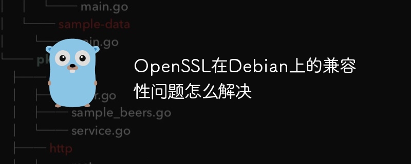 OpenSSL在Debian上的兼容性问题怎么解决
