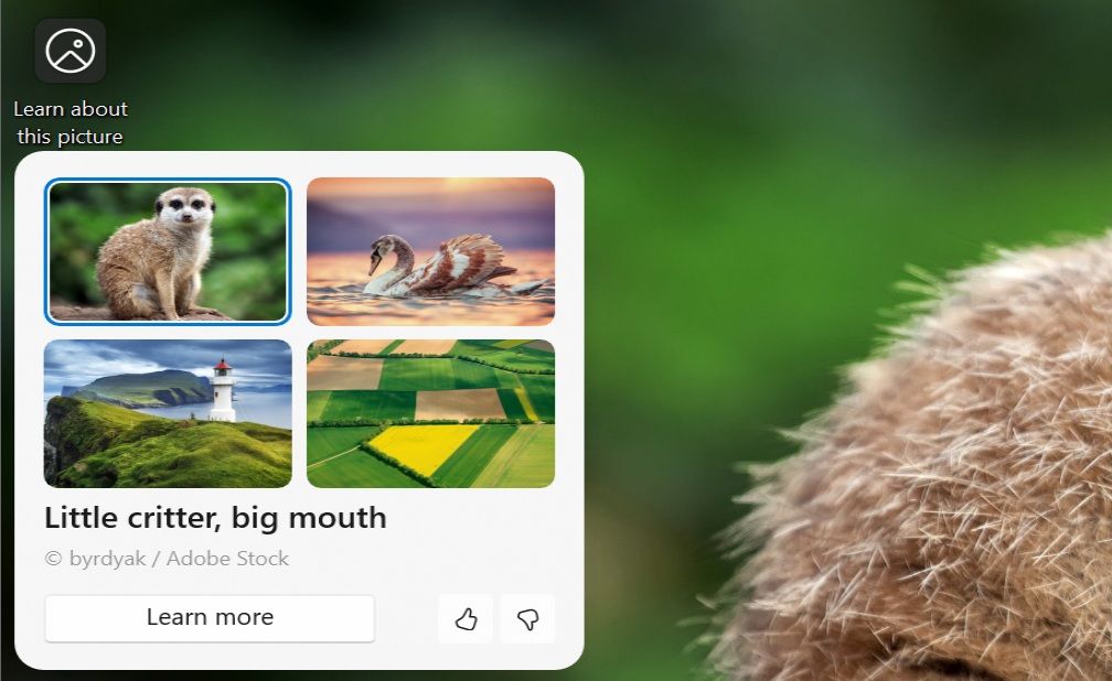 Win11壁纸升级，CopilotAI精选壁纸揭秘