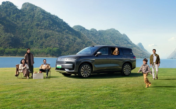 2025Q1售价30万以上自主品牌排行 小米第九问界第三