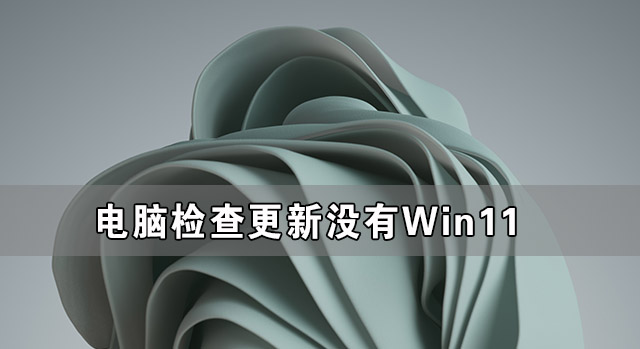 未检查到Win11更新？教你获取推送方法