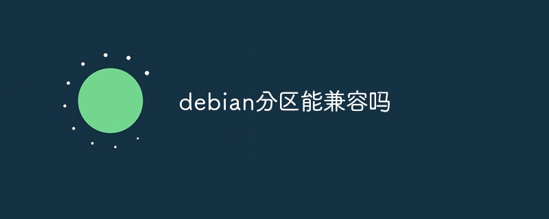Debian分区兼容性全解析