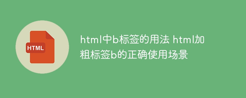 HTML中b标签的用法及加粗技巧