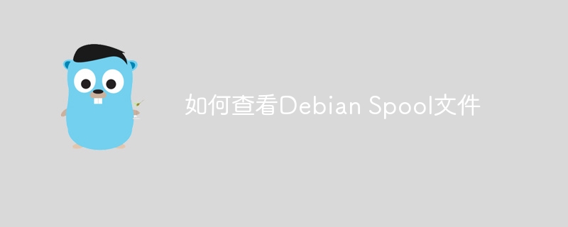 如何查看Debian Spool文件