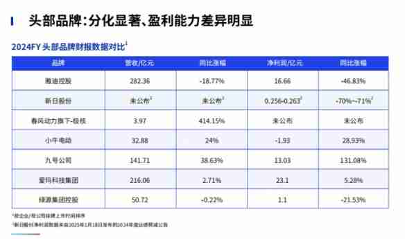 鲁大师2024年两轮电动车行业调研报告