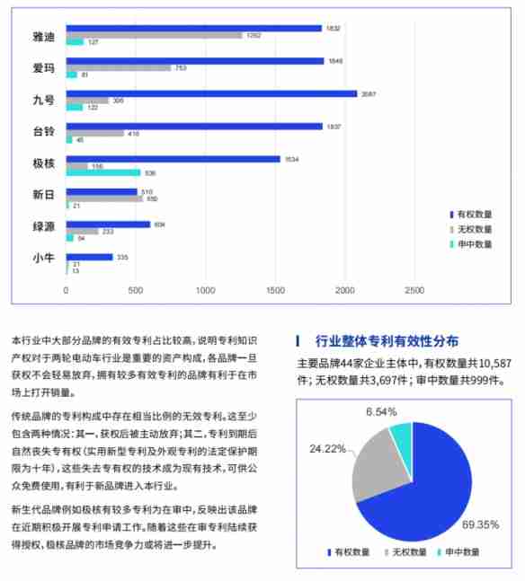 鲁大师2024年两轮电动车行业调研报告