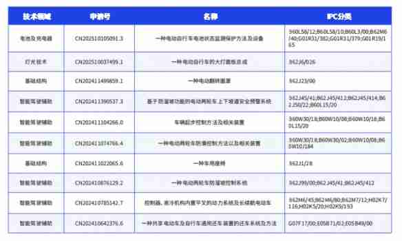 鲁大师2024年两轮电动车行业调研报告
