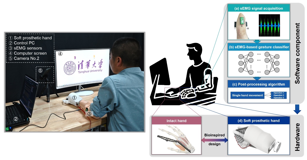 清华李曙光团队研发鼠标控制灵巧假肢手