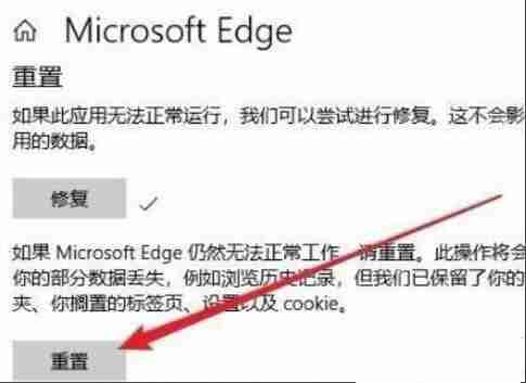 Win11无法启动浏览器 Win11自带浏览器打不开怎么办
