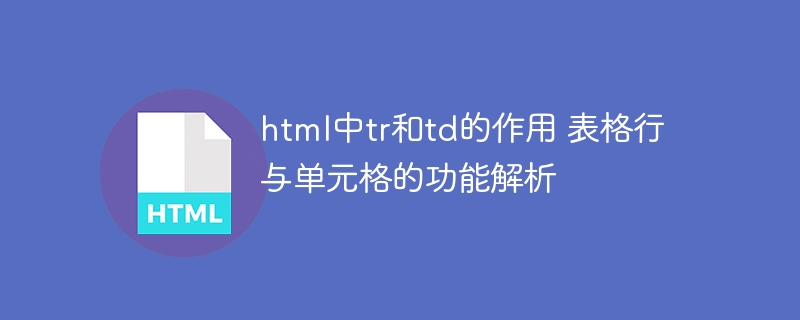 HTML表格行与单元格：tr和td详解及应用