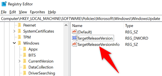 怎么阻止在Win10上安装Windows11更新?