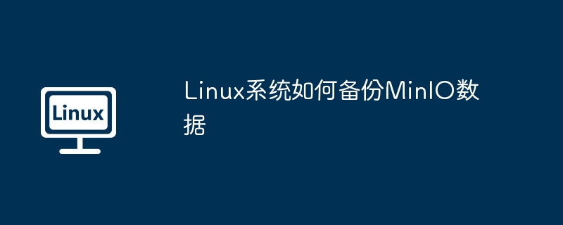 Linux备份MinIO数据？这篇攻略就够你玩转！