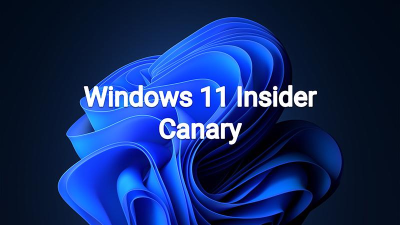 Windows11大更新：空间释放，体验飞升！