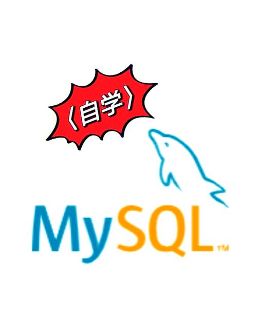 MySQL临时表实战技巧，复杂查询的小秘密武器