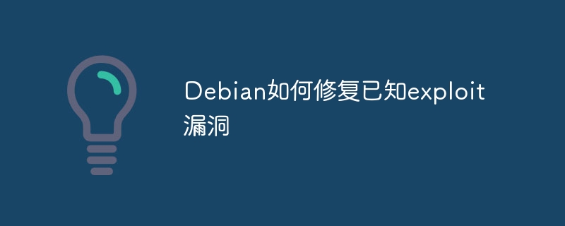 Debian如何修复已知exploit漏洞
