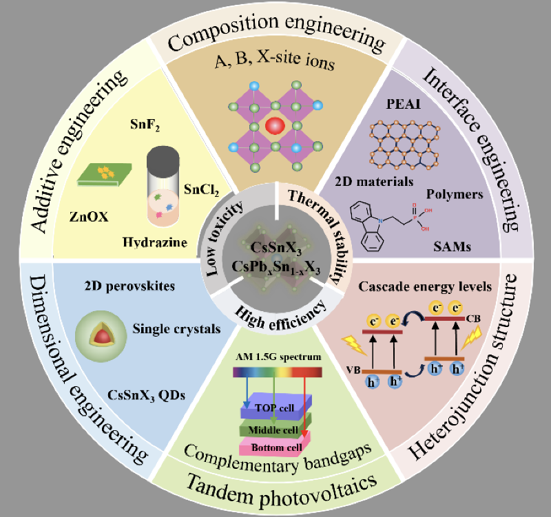 上海交通大学溥渊学院教师在《先进材料》发表最新综述:全无机含锡钙钛矿太阳能电池,引领环保光伏技术新潮流