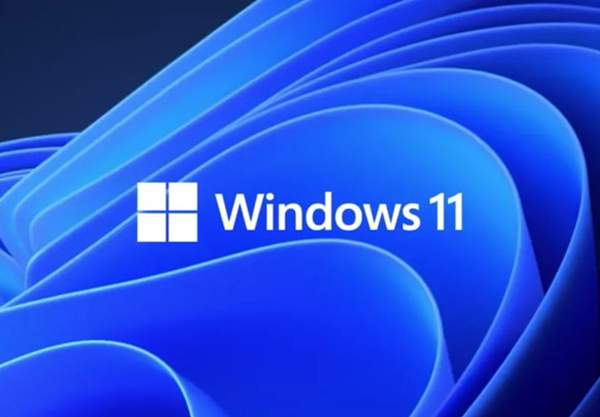 Win11更新文件找不到？偷偷告诉你真实位置