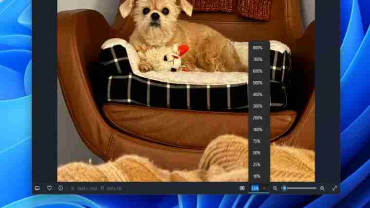 微软 Win11 照片更新：改进查看器和导入功能、查看器加速速度快