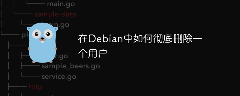Debian彻底删除用户的步骤详解，避坑指南！