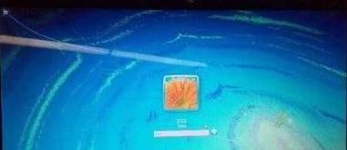 电脑花屏是显卡问题还是屏幕问题