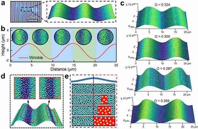 北理工团队在应变梯度调控磁畴中取得重要进展
