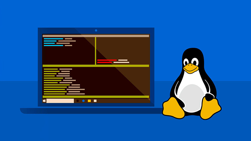 微软调整啦！Win10系统下WSL安装方法有变！
