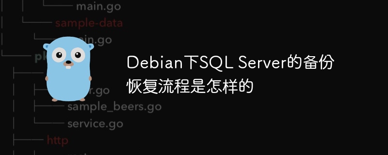 在Debian上玩转SQLServer备份还原，手把手教你一步步操作