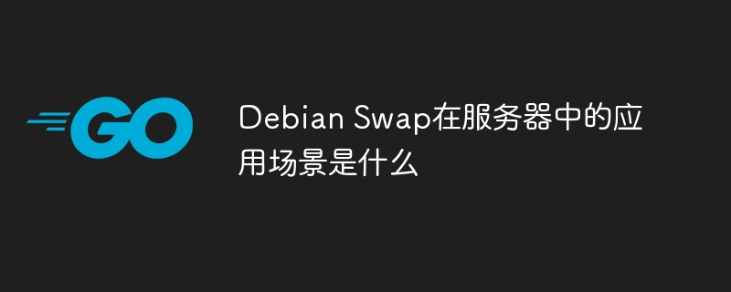 DebianSwap服务器应用实测，这些场景真的用得上！